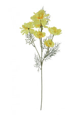 *FRILLY POPPY YELLOW